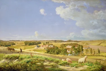 Paisaje boscoso